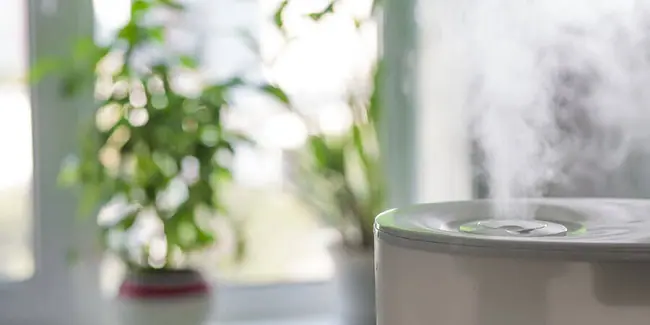 A white air purifier sits by a window. There are plants on the window sill.