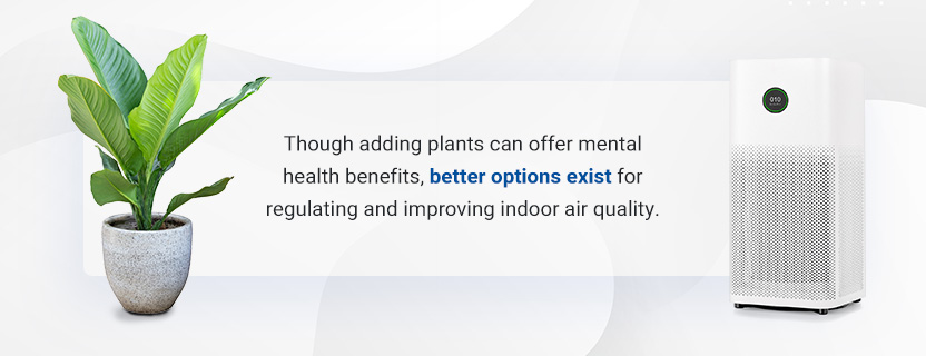 Better Solutions for Improving Your Indoor Air Quality - Though adding a few plants can liven up your space and offer mental health benefits, better options exist for regulating and improving indoor air quality. 
