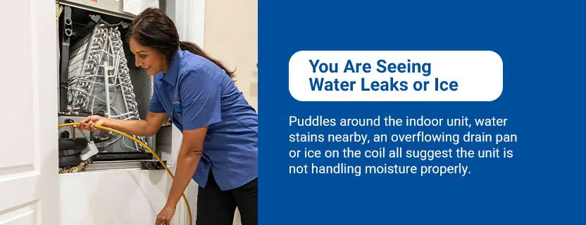 Duct Inspection and Sealing